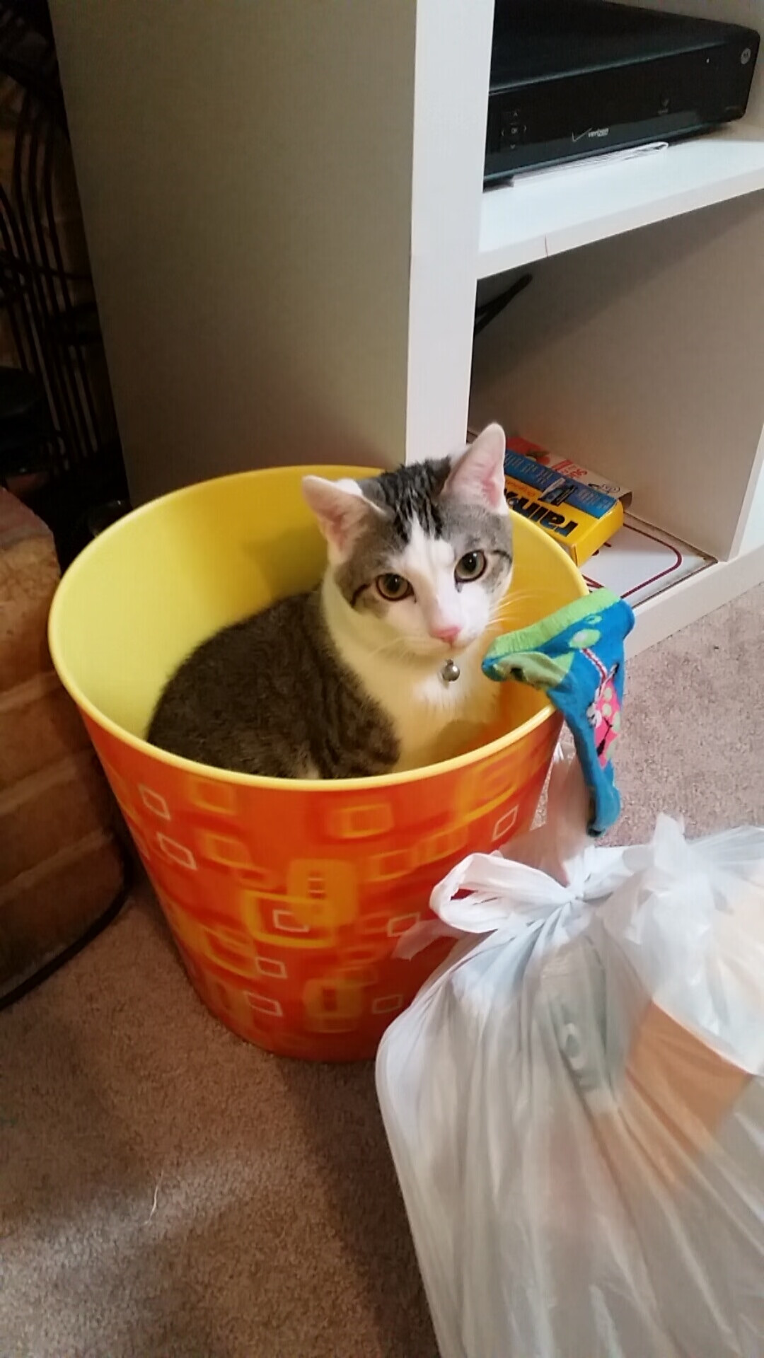 爱游戏官方入口-APEX英雄 战队默契度持续提升,apex英雄职业战队