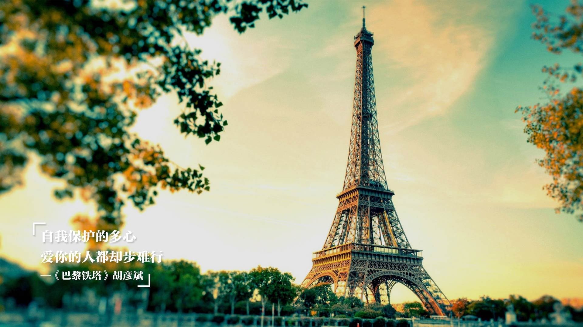 爱游戏官方入口-APEX英雄 战队默契度持续提升,apex英雄职业战队