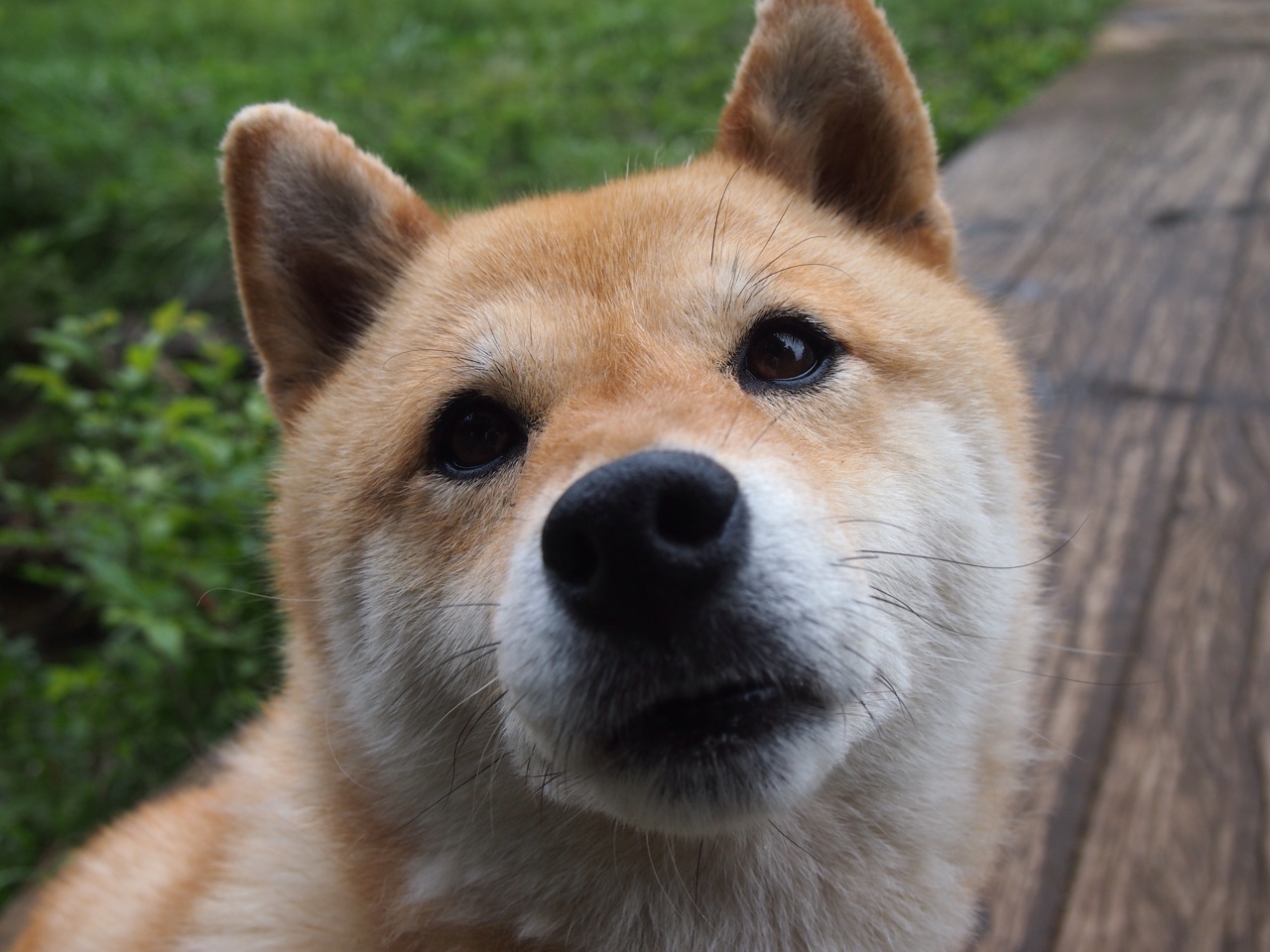 爱游戏 ayx 中国官方网站-_奇才战术日益成熟,表现稳定向上_,奇才队百度百科